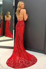 Mermaid Sheath Sequins Long Prom Dress with Sweep Train